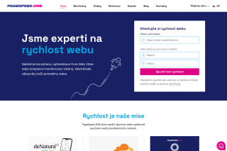 Screenshot: PageSpeed.ONE
